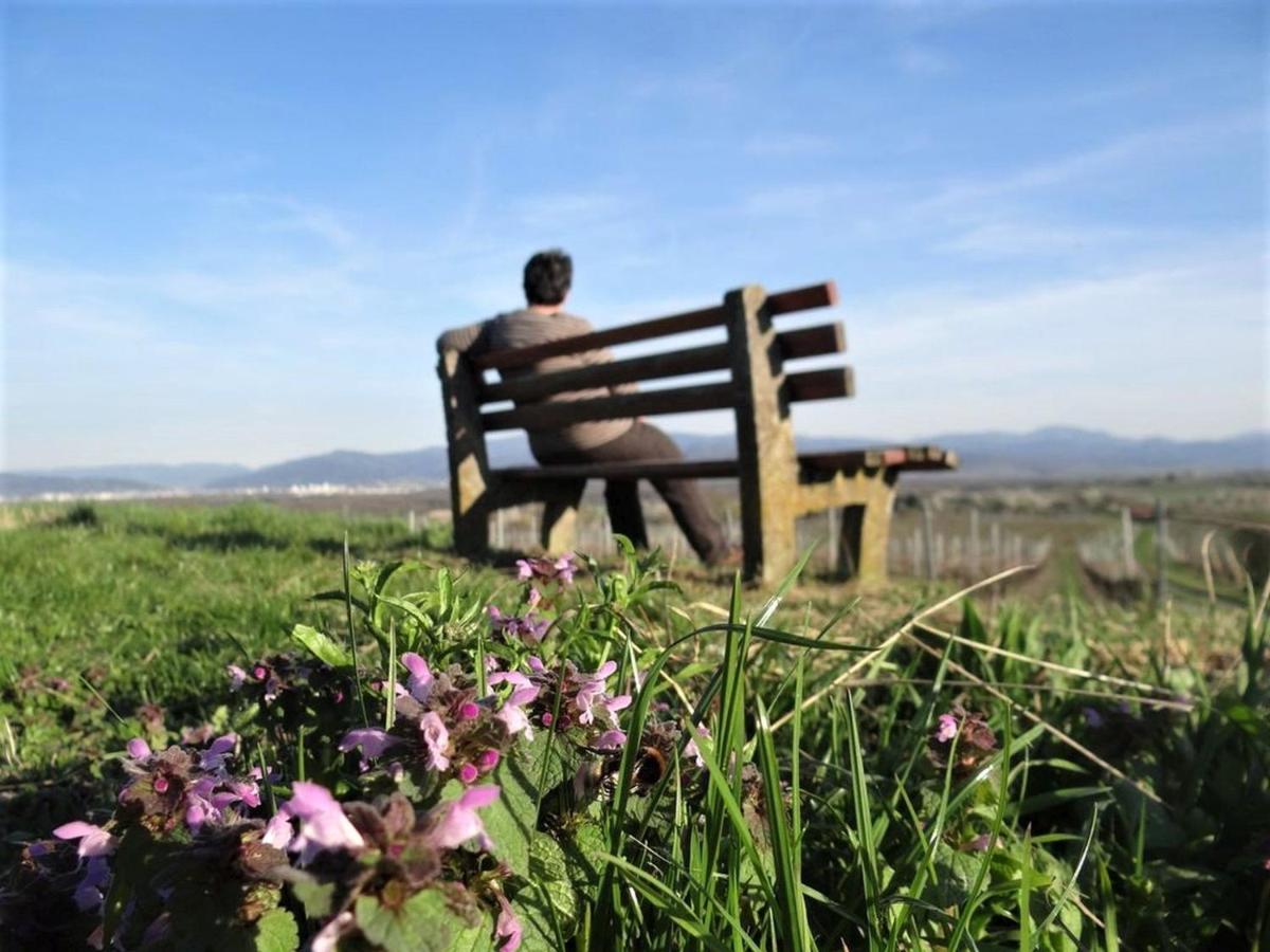 Zum Rebberg Ferienwohnungen - B&B Friburgo de Brisgovia