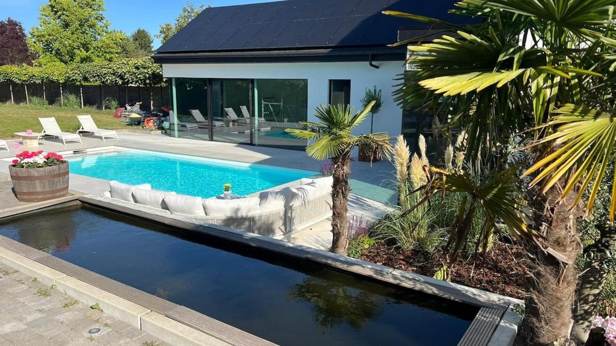 Deluxe home garden and pool optional pm - B&B Kortenberg