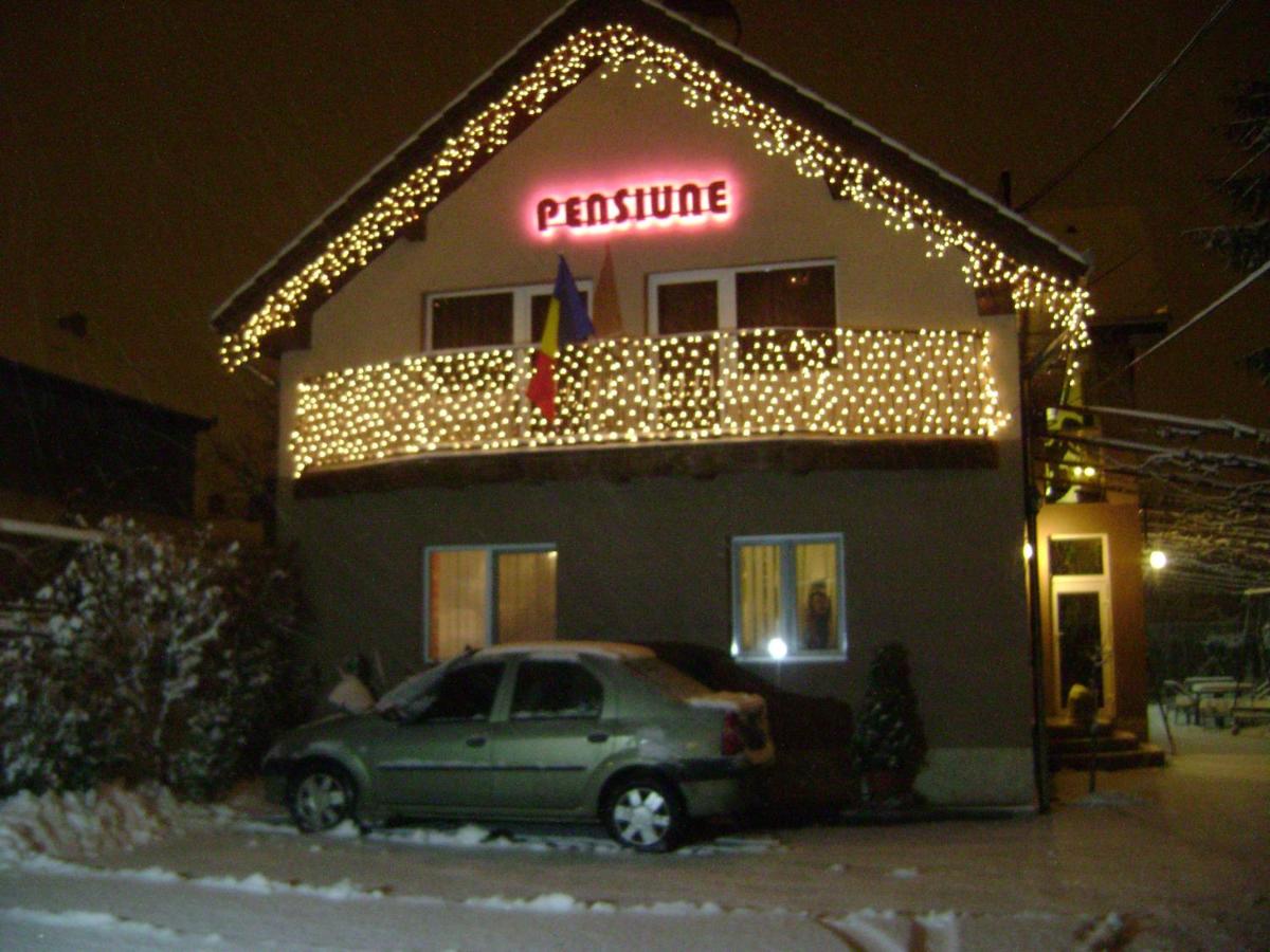 Pensiunea Miorita Arad - Ferienwohnung