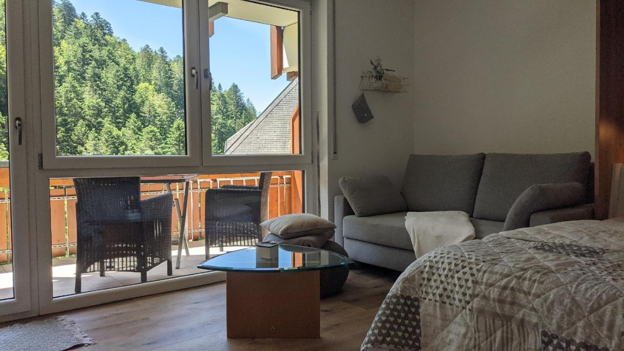 Ferienwohnung Sonnen Strahl - Chambres d’hôtes Todtmoos
