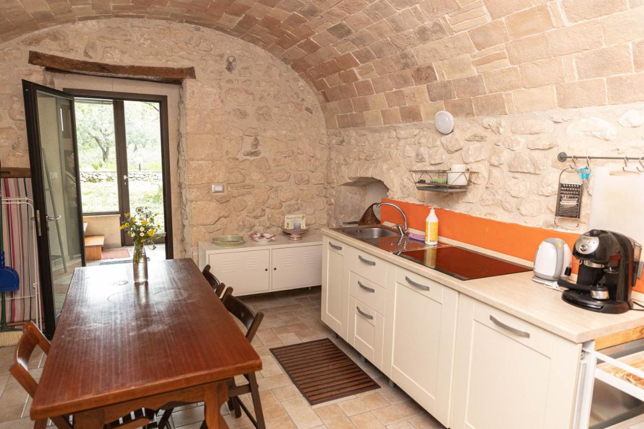 Appartement Supérieur 1 Chambre