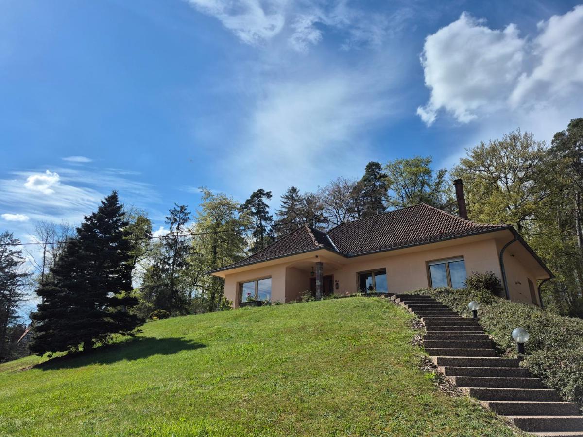 Villa Bellevue - Chez Oma - Ferienwohnung Wingen-sur-Moder