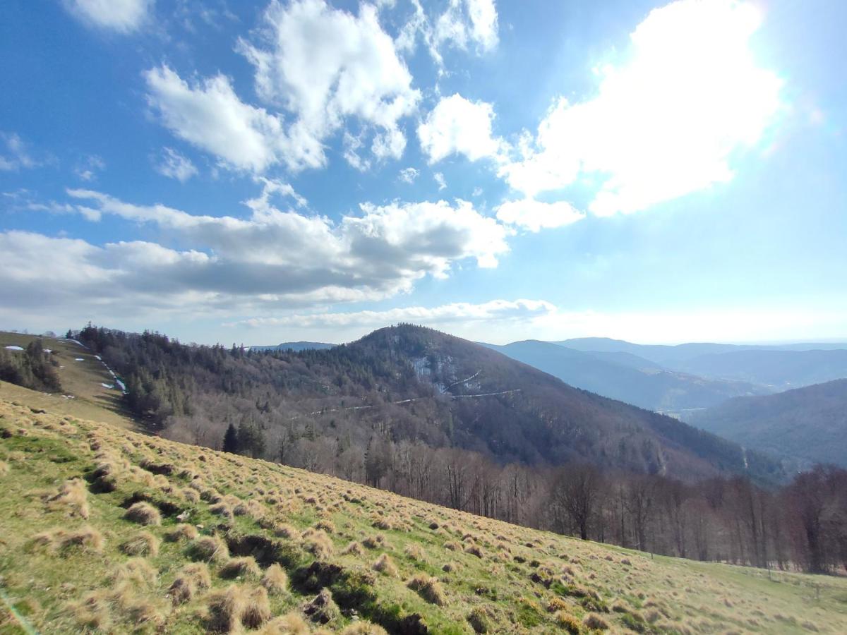 Gîte spacieux à 2 km des pistes de ski - Chambres d’hôtes Bussang