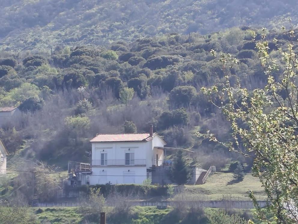 La Rosa - B&B Paliouriá