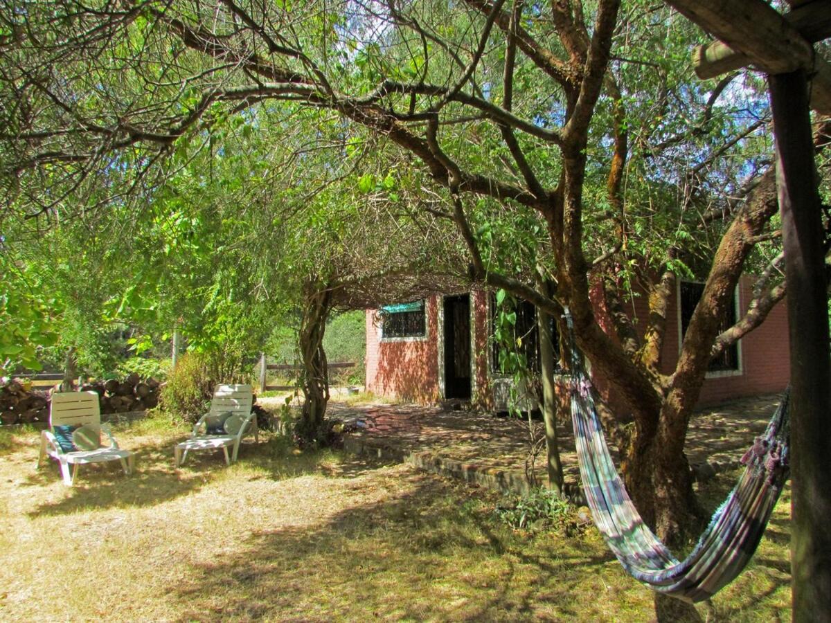 Casa Refugio en el bosque - B&B José Ignacio