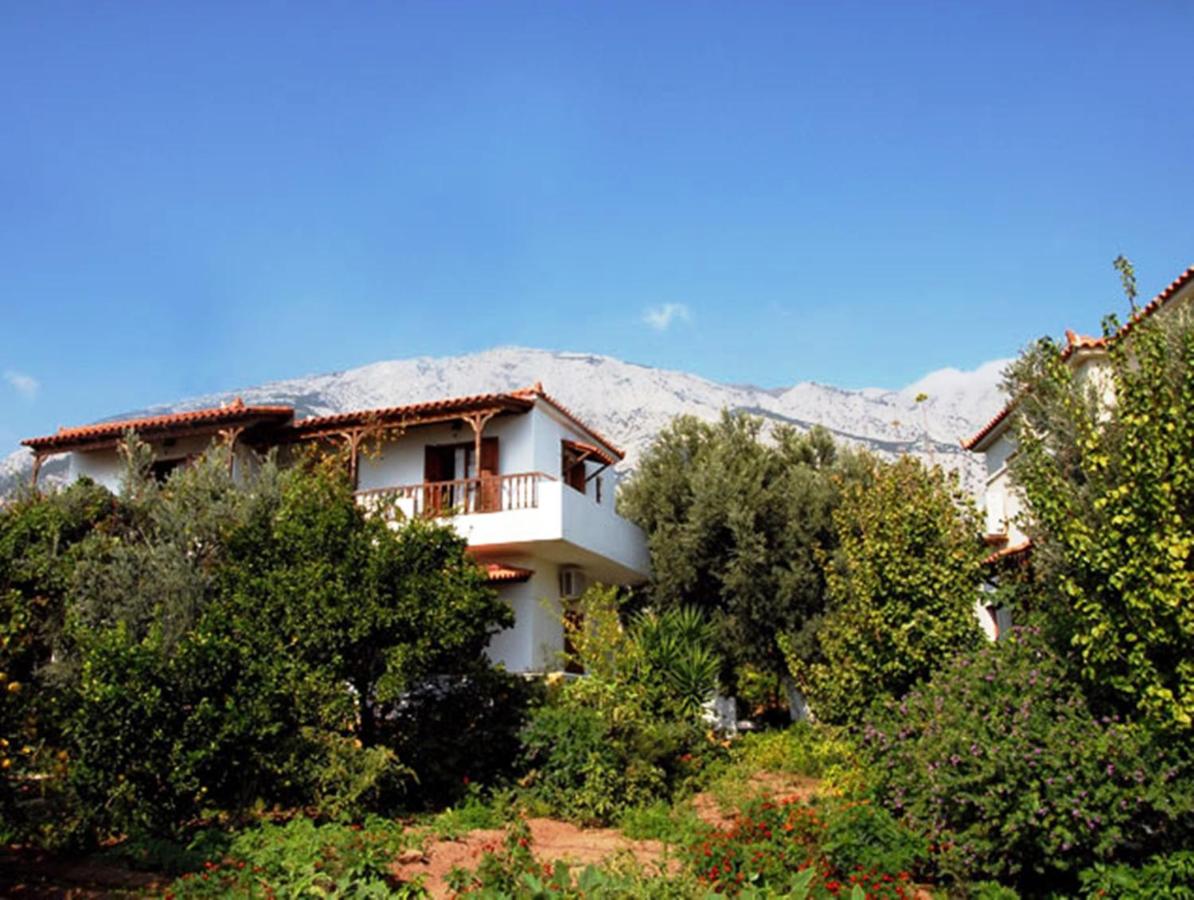 Tiki Rooms - B&B Marathókampos