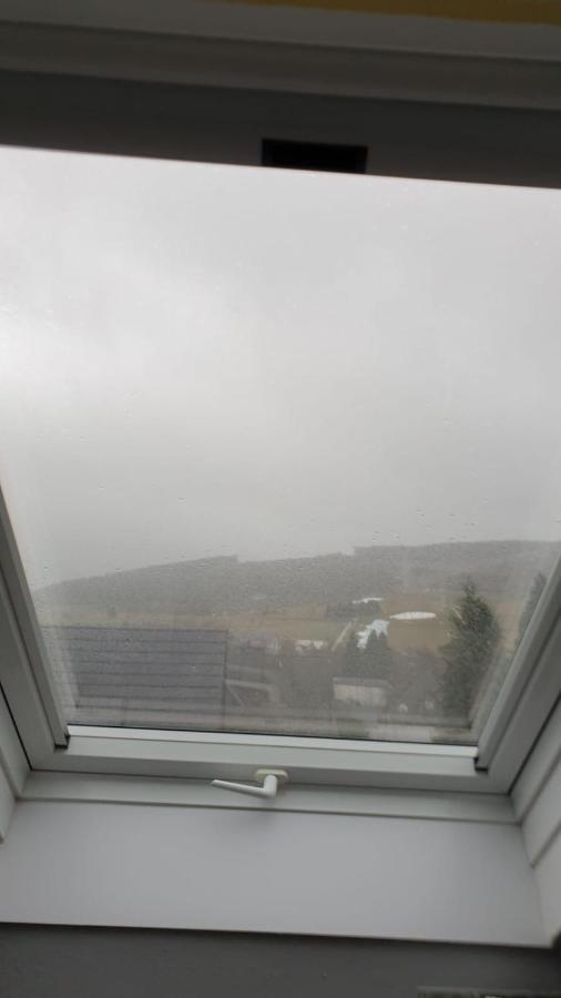 FeWo Meise - B&B Willingen