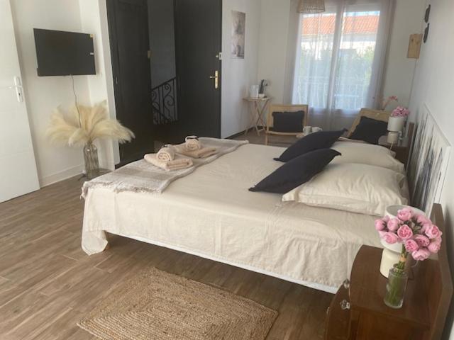 Suite climatisée -Proche Arena & Grands buffets - Chambres d’hôtes Narbonne