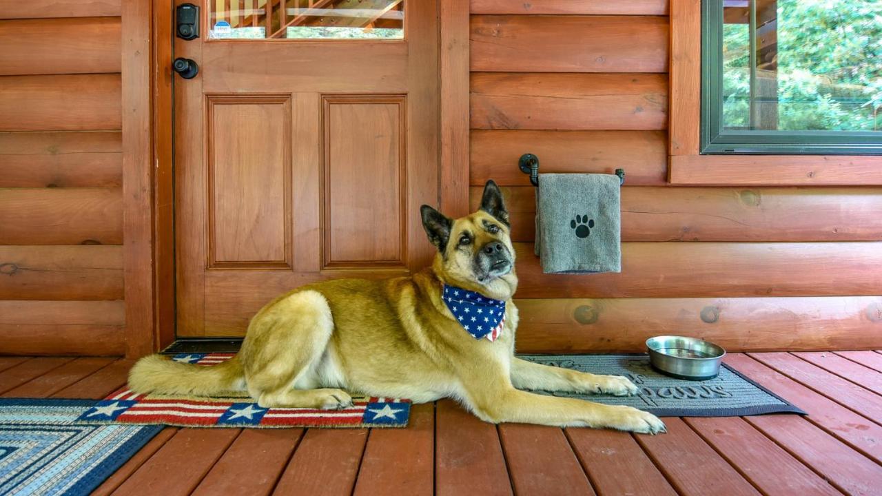 Freedom Creek Hideaway-Veteran Host-Pet Friendly-Single nights-Newly Renovated!! - Chambres d'hôtes Pigeon Forge