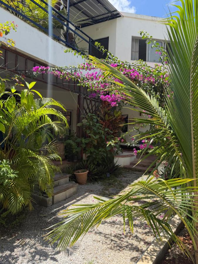 Meridiana - B&B Las Terrenas