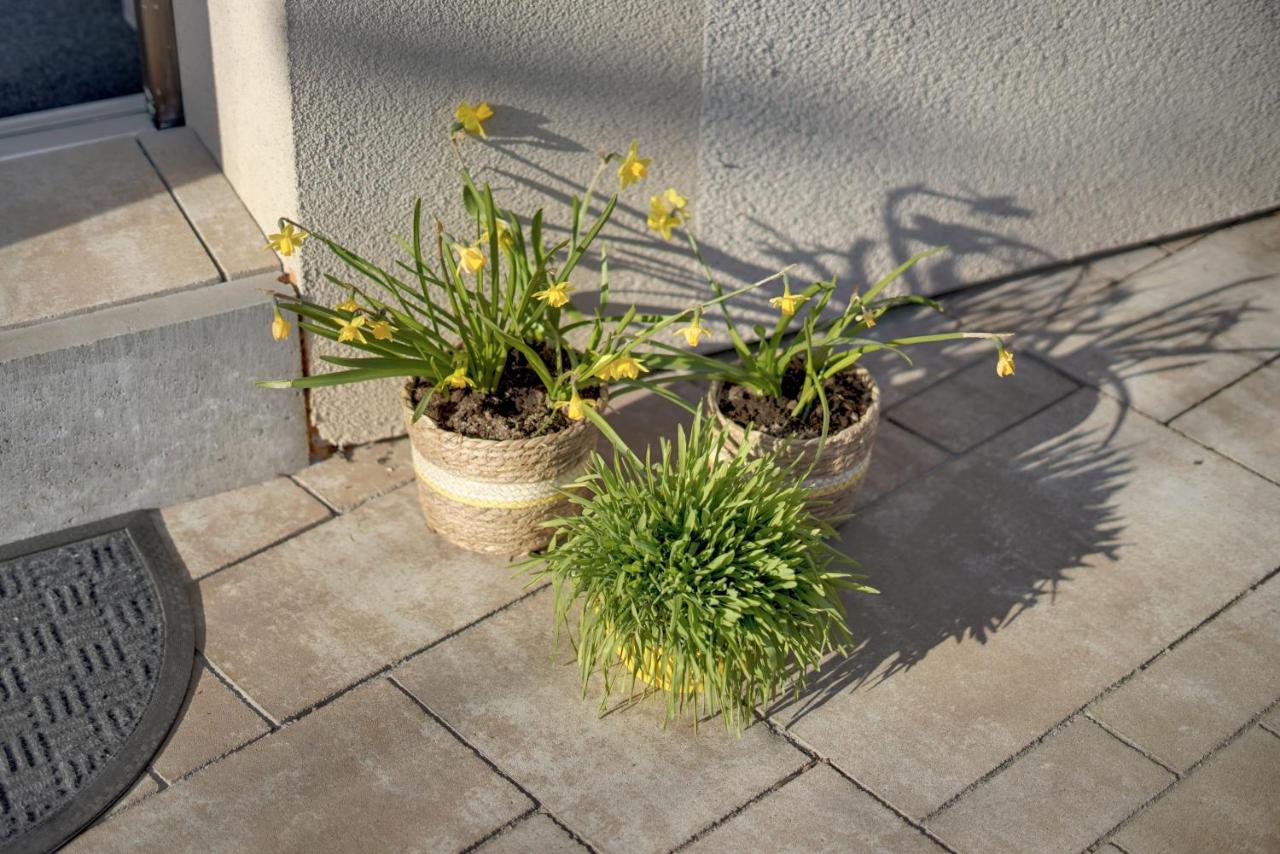Moderní apartmán Vila Domus - Ferienwohnung Jaroměř