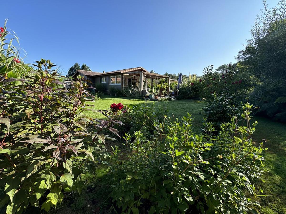 Maison VIEUX BOUCAU - MESSANGES - B&B Messanges