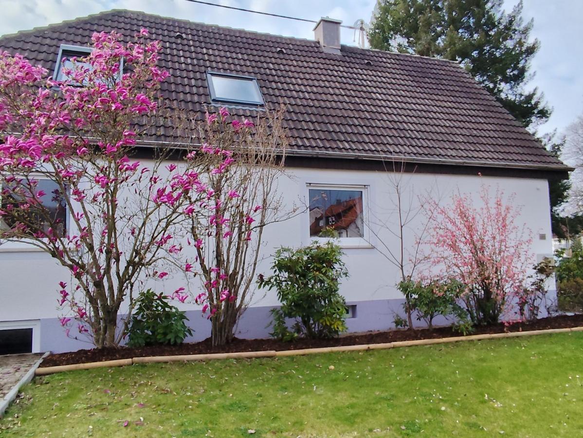 Gemütliche Wohnung in der Nähe von Baden-Baden - Chambres d'hôtes Gaggenau
