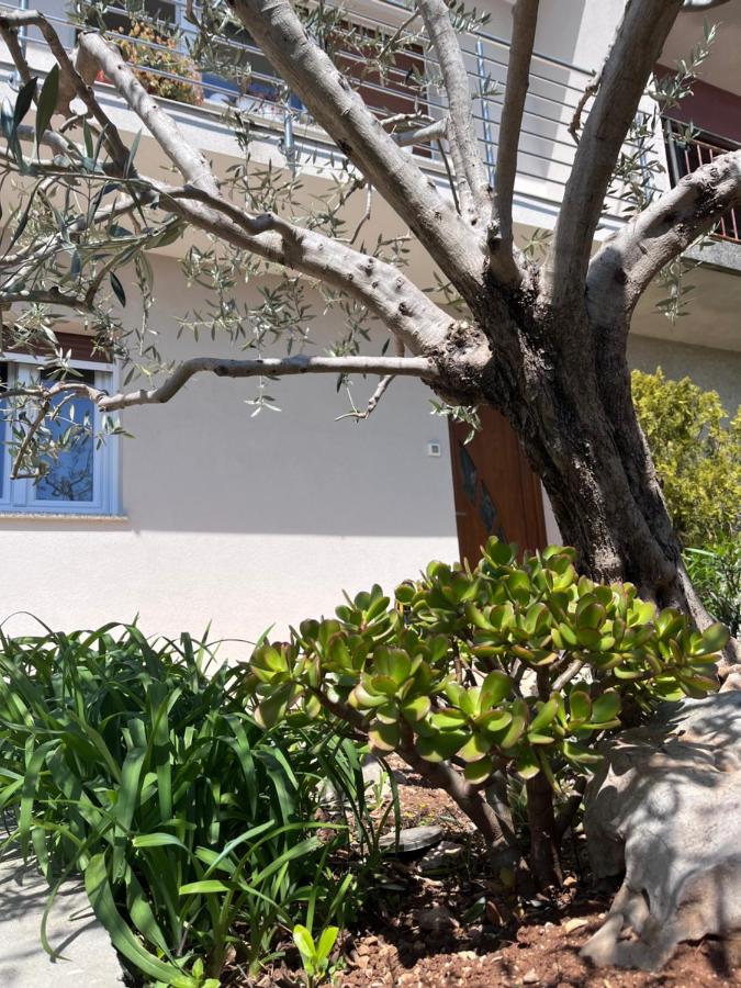Apartman Lina - Bed and Breakfast Rijeka