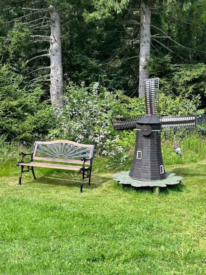 Little Pinecone Lodge a Cozy Forest Retreat - B&B Hörby