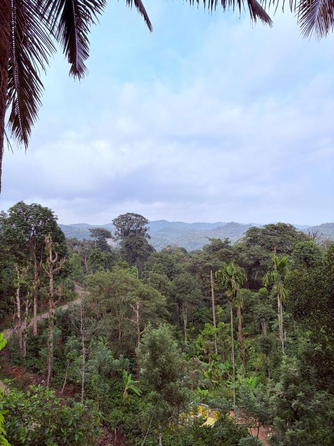 Dishaa Estate View Home Stay - B&B Madikeri