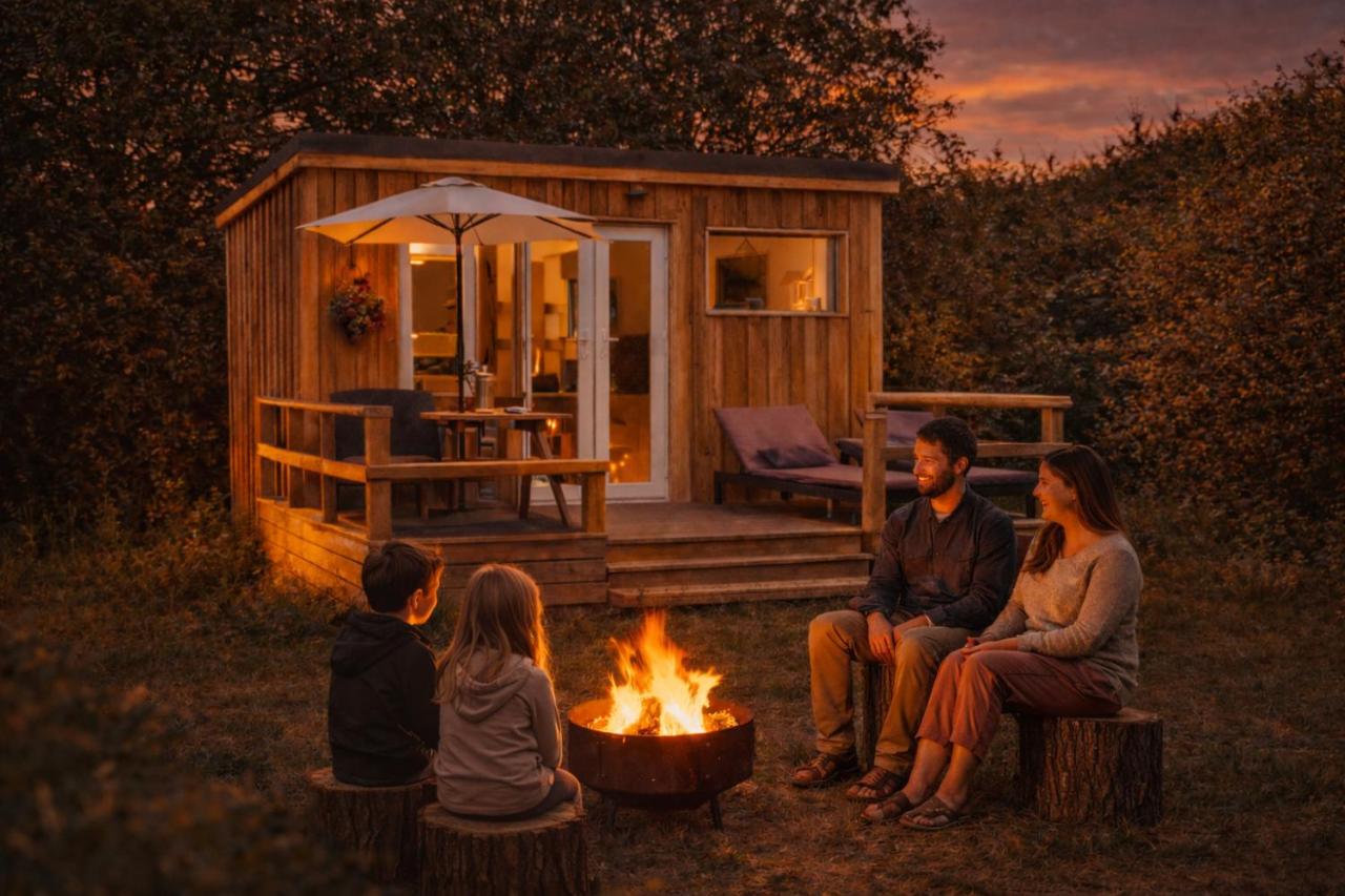 Dartmoor Reach Alpaca Farm - B&B Bovey Tracey