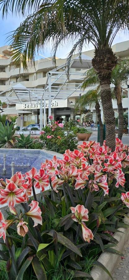 Benalbeach Luxe suite Garden & Sea Oasis501-1 - B&B Benalmádena