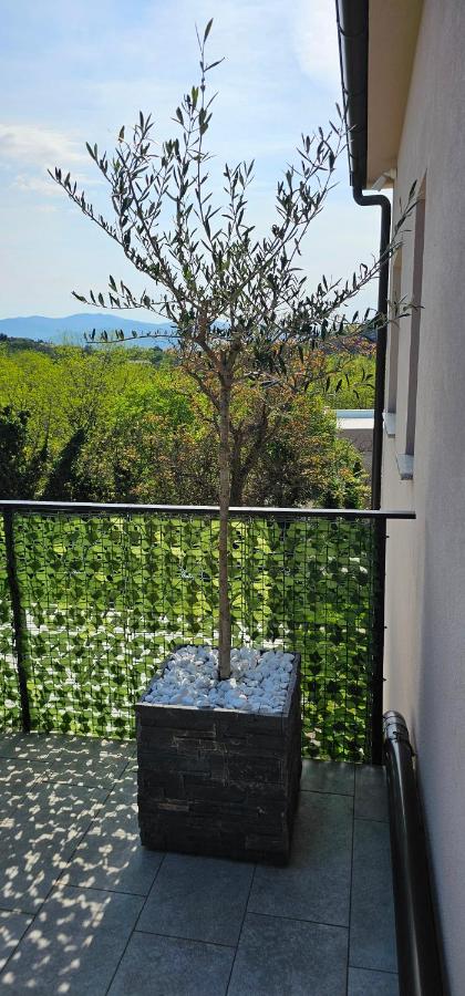 Studio Kamarin - B&B Buzdohanj