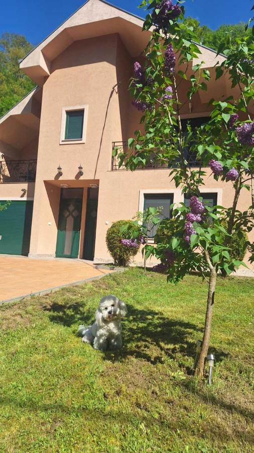 Velez IVANOVI DVORI - B&B Jošanička Banja