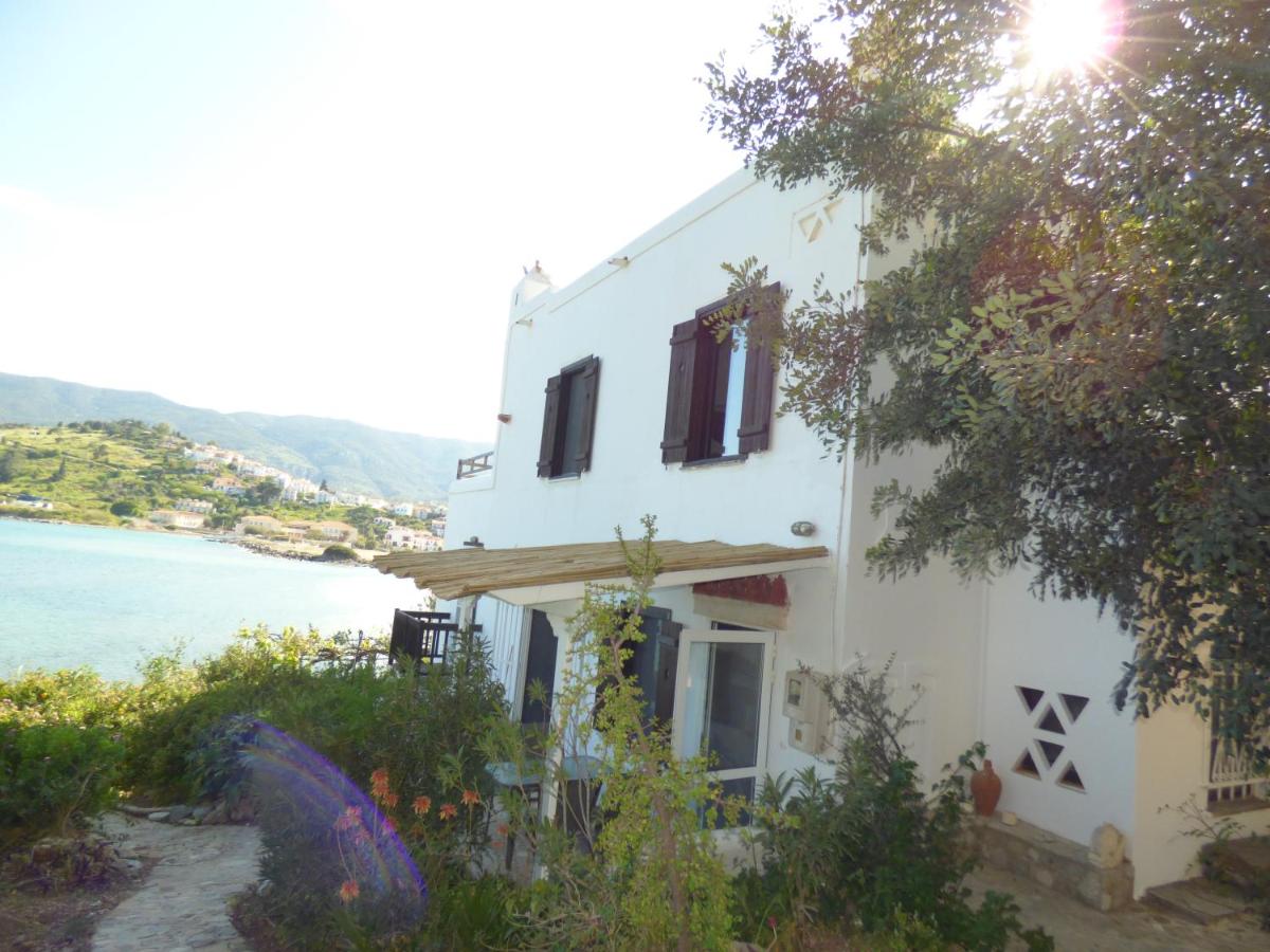 Villa Mimosa Poros Beachfront Apartment - B&B Poros