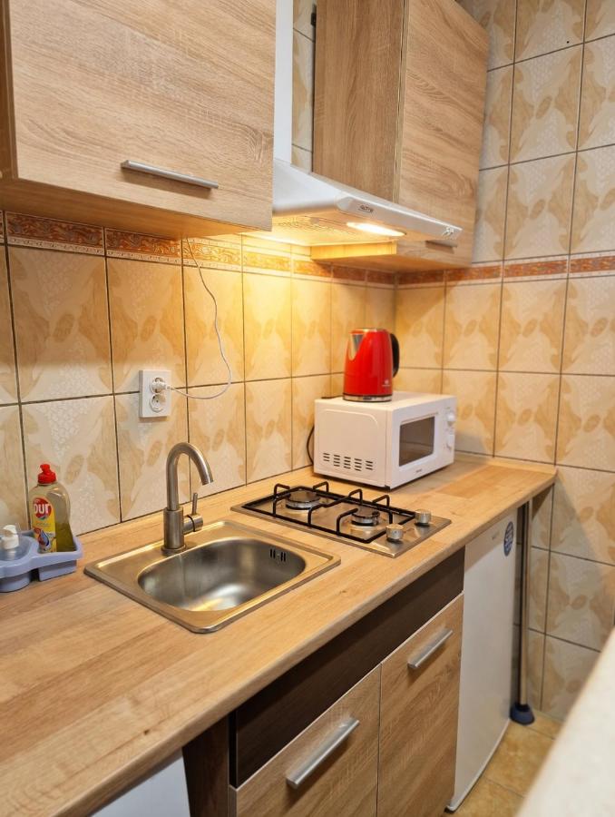 Metro Cozy Studio - Chambres d'hôtes Suceava