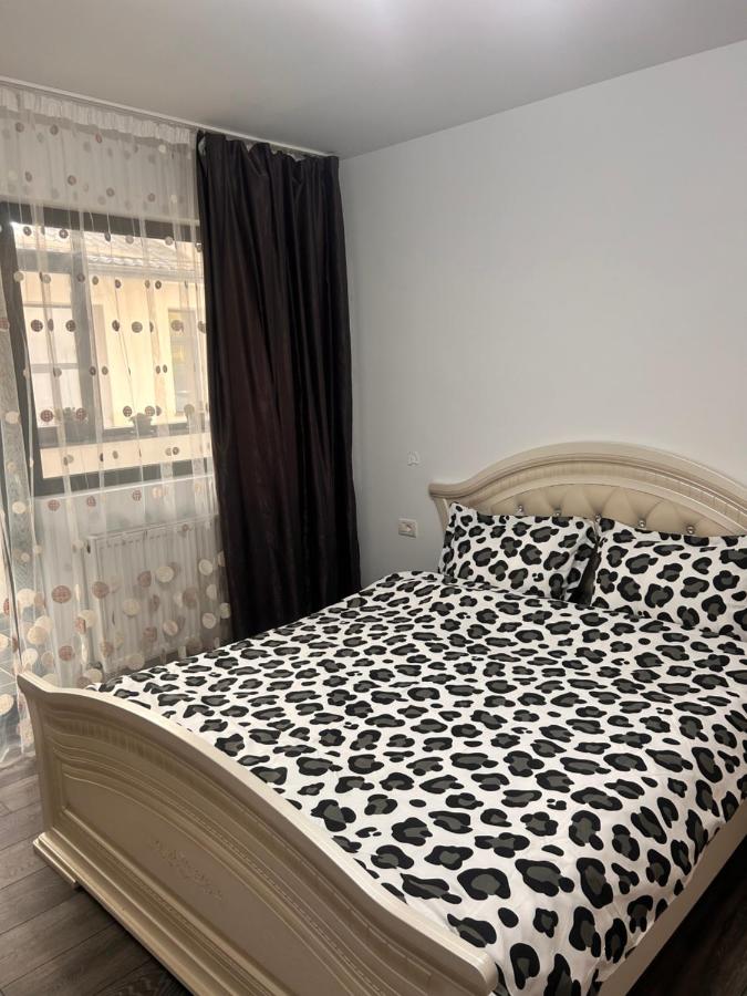 D&D New Residence - B&B Piteşti