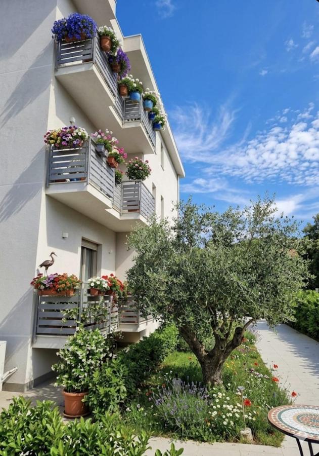 Residence degli Ulivi - B&B Pesto