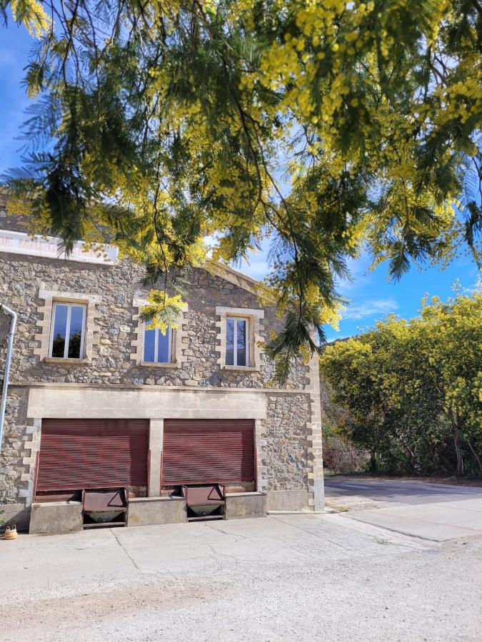 Dans une cave de vignerons - Chambres d'hôtes Marquixanes