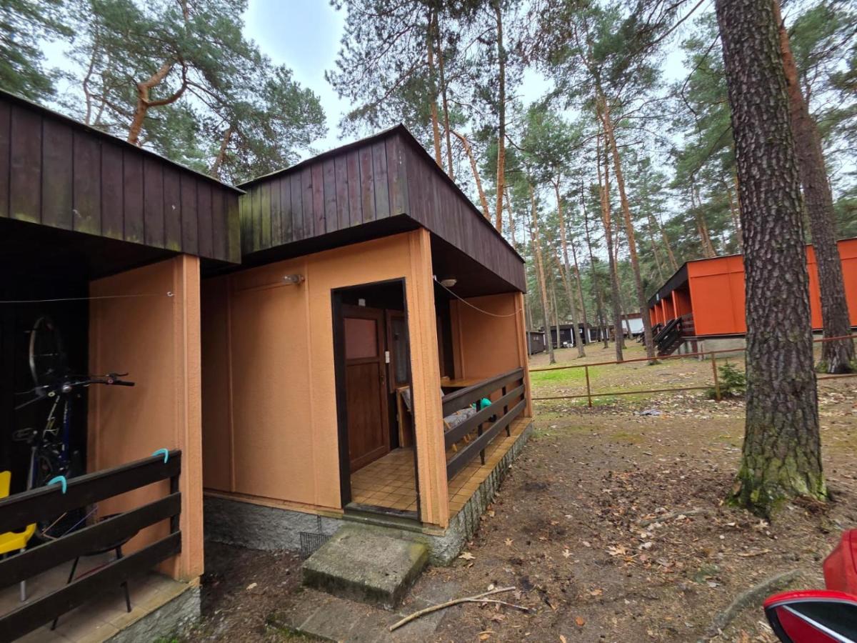 Chata Borůvka u Máchova jezera - free PADDLEBOARD - B&B Doksy
