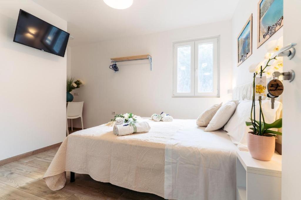 B&B Morrocoy Beach - Chambres d'hôtes Marina di Camerota