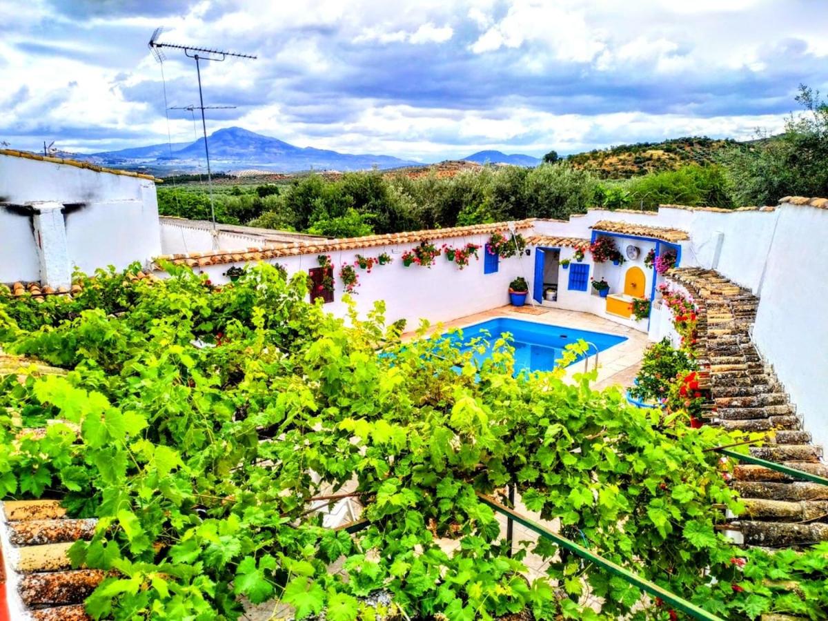 El Patio Andaluz - B&B Campo-Nubes