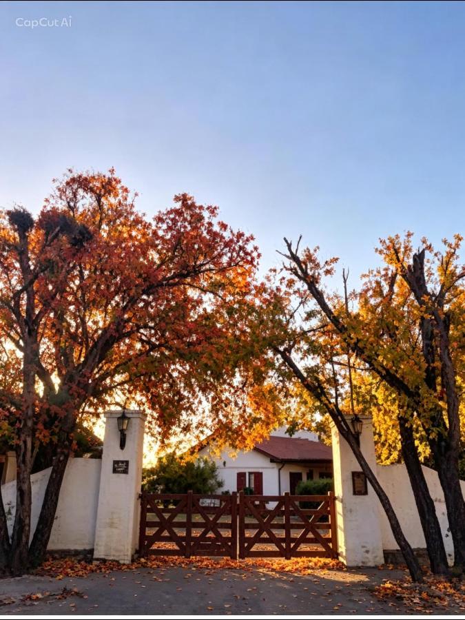 Cabañas Aldea Blanca - B&B Merlo