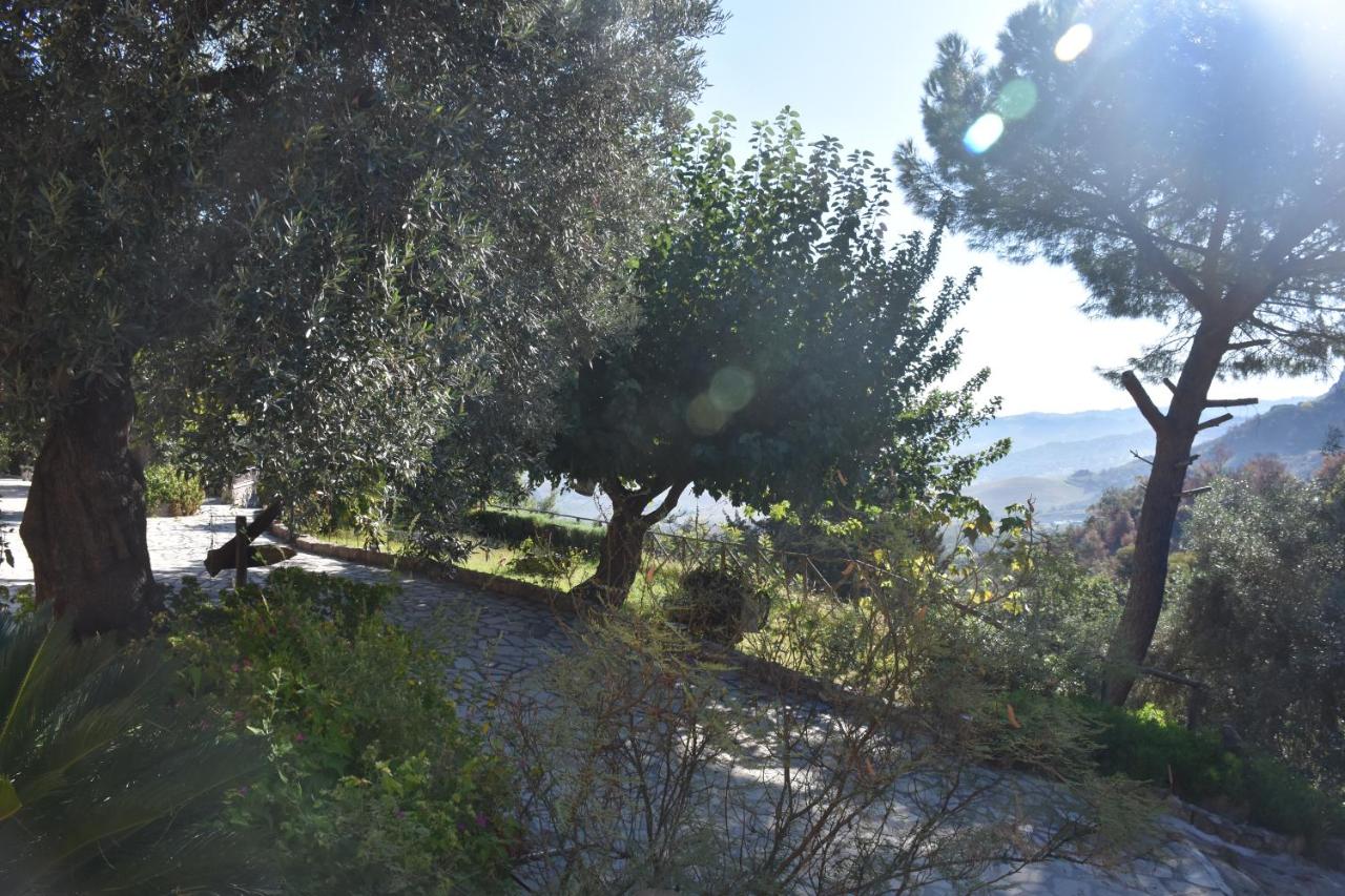 Azienda Agrituristica Biologica Il Querceto - B&B Santa Severina
