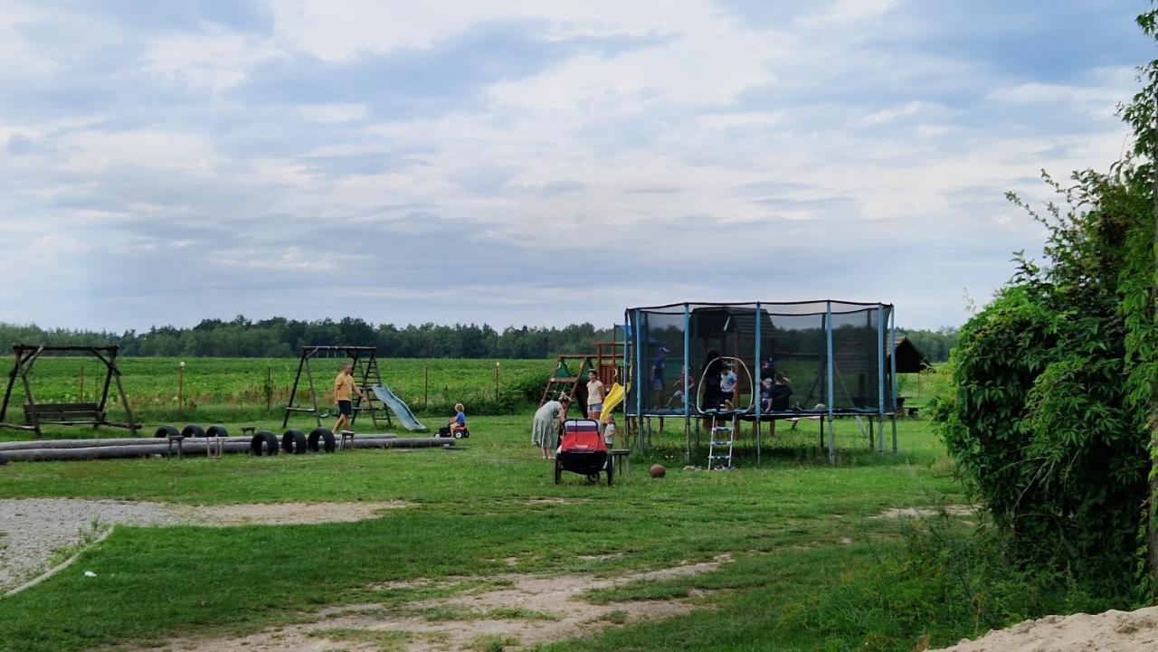 Eurostruś - zoo, domki - Bed and Breakfast Borzychy