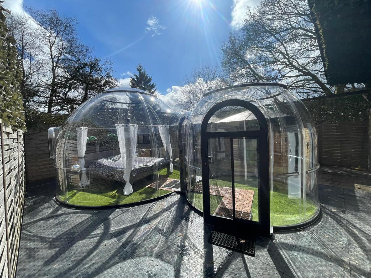 Bubble-Hotel Deutschland - Bed and Breakfast Orlenbach