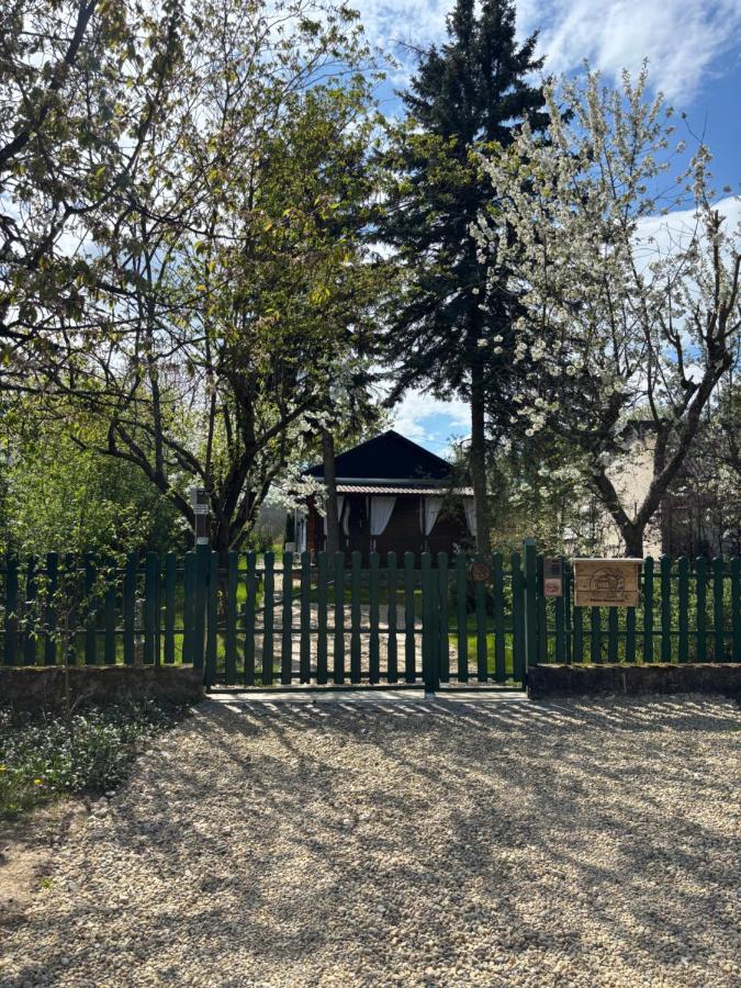 Pillanat Wellness Kabin - Bed and Breakfast Bánk