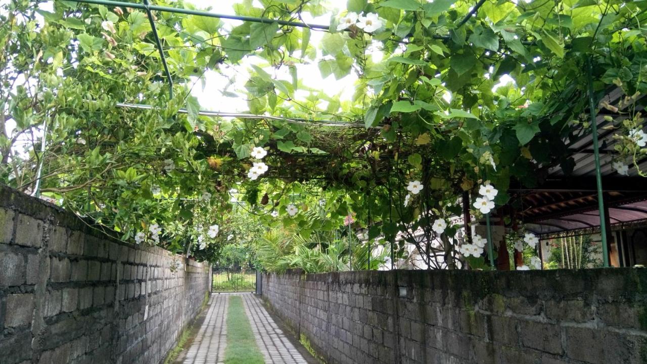 Mulia Home Stay - B&B Nusa Dua