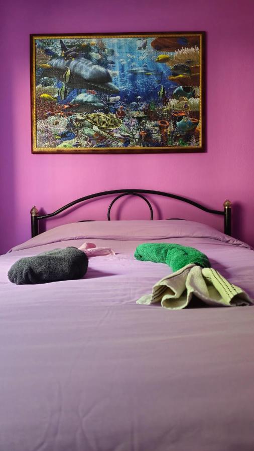 Mermaid house - B&B Drama