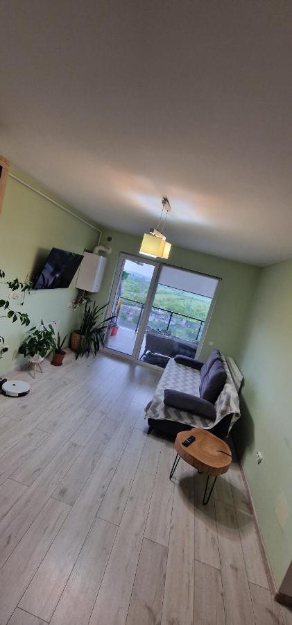Cozy and Modern Apartment in Grand Park Residence - Chambres d'hôtes Cluj-Napoca