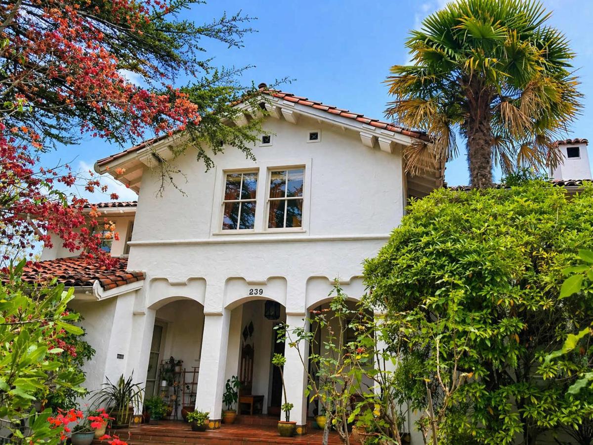 Serene Private Suite Patio Upscale Berkeley - B&B Berkeley