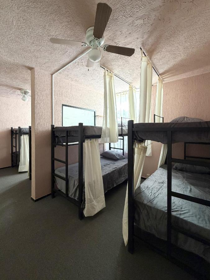 Bed in 8-Bed Dormitory Room