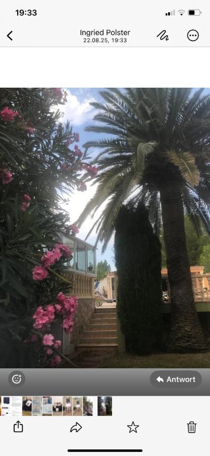 Casa Nadine - Bed and Breakfast Denia