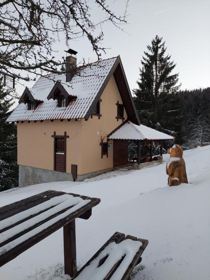 Stevina koliba - B&B Bajina Bašta