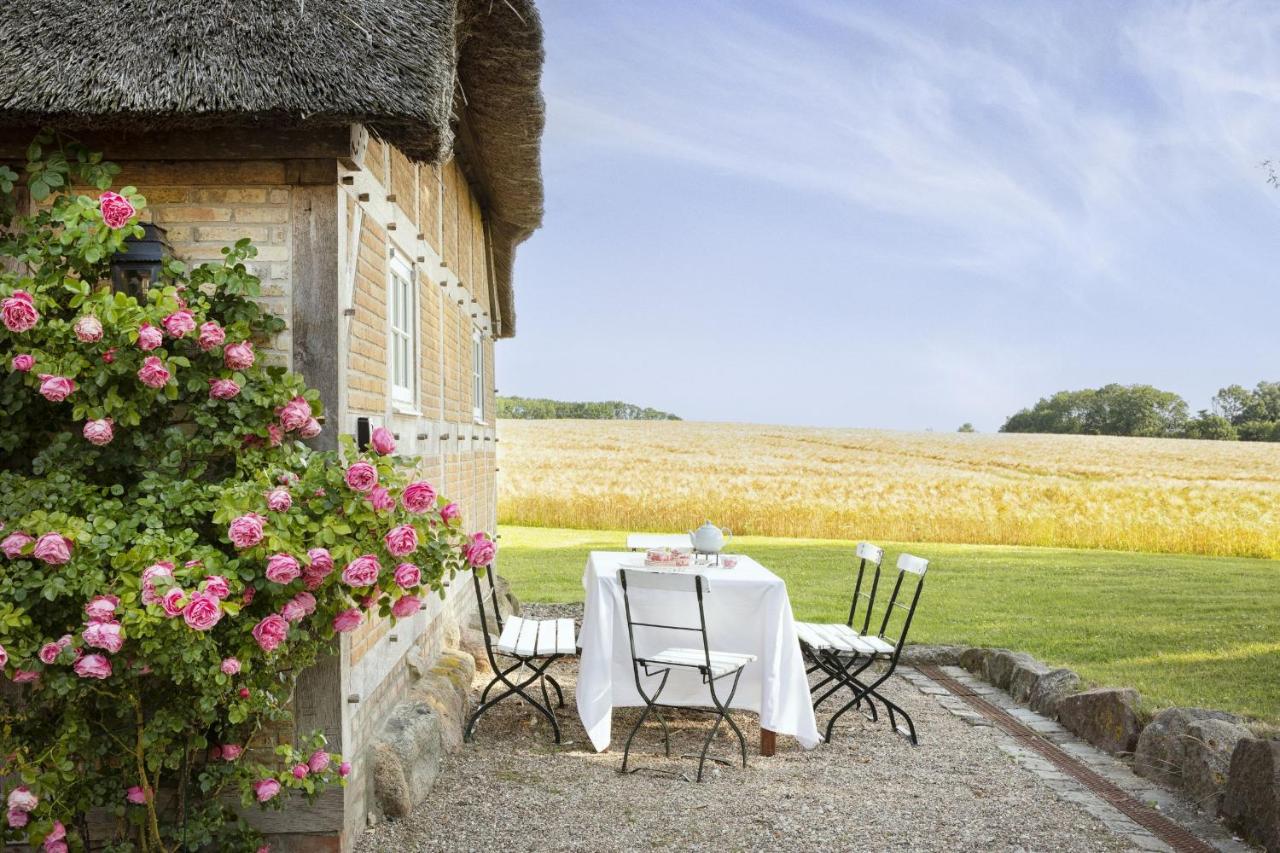 Urgemütliche Reetdachkate mit großem Kamin und Sauna - B&B Pommerby