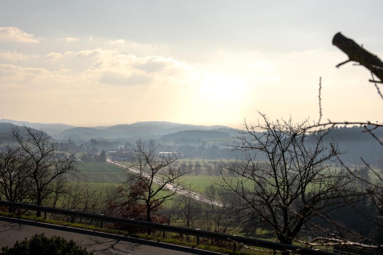Modernes Apartment mit Odenwald-Panoramablick - Chambres d'hôtes Brensbach
