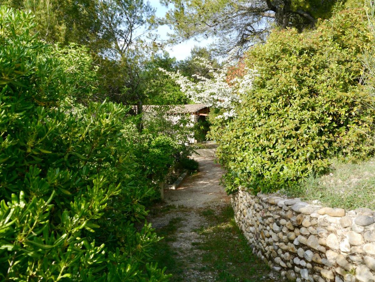 Sous l'Olivier - B&B Buisson