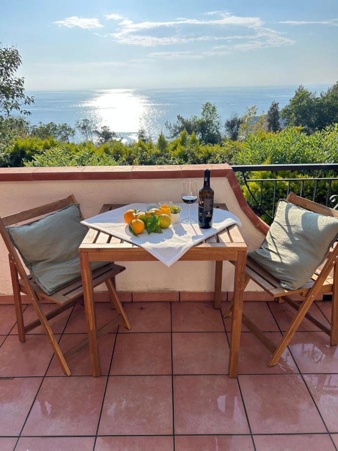 Residenza Belvedere - Lemon Apartment with Terrace & Garden near the Sea - Ferienwohnung Scalea