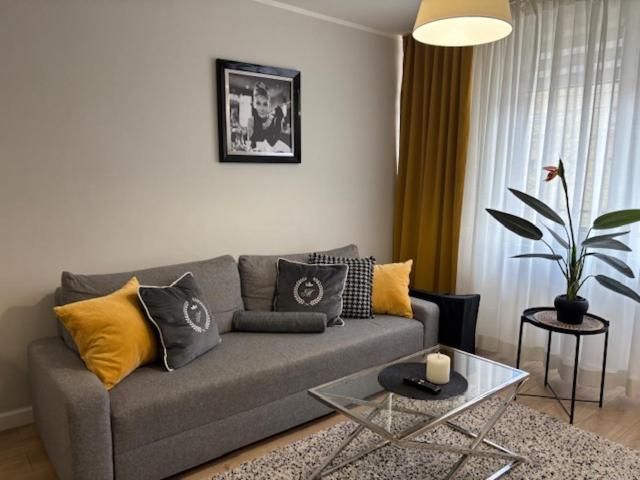 Apartament Rodzinny - Classic Olszowa - - B&B Włocławek