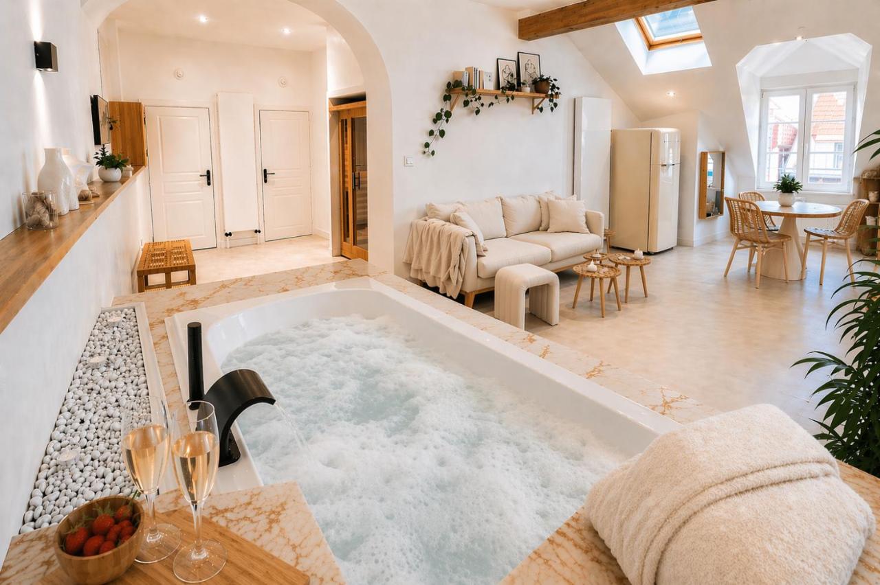 Sublime Loft avec Spa Privatif & Sauna, Hyper Centre, Parking facile - B&B Épinal